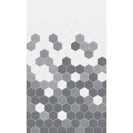 PM341 Kinewall Grey Monochrome Hexagon 1250 x 2500mm Panel Full Wall